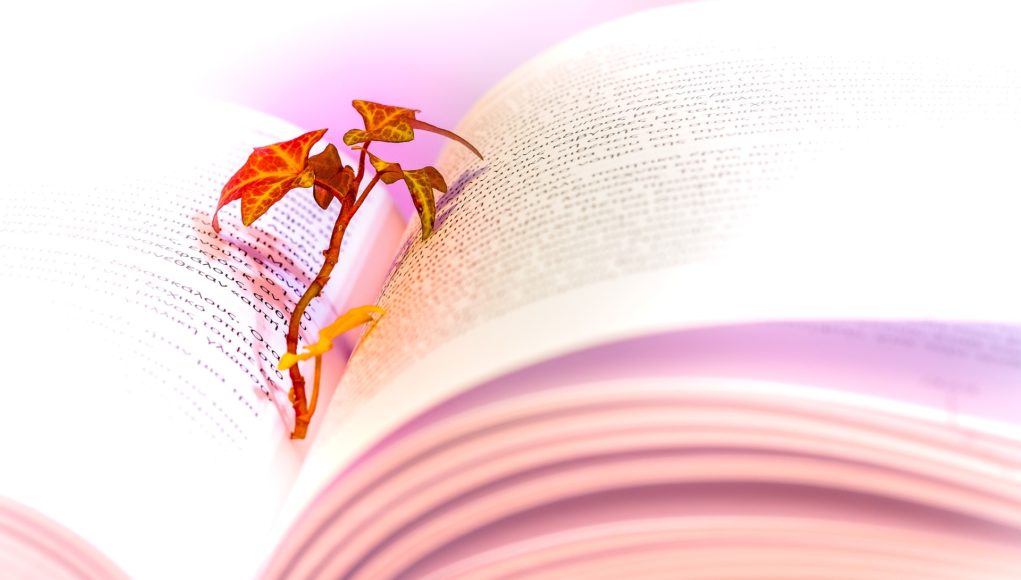 cumparatori de carti vechi