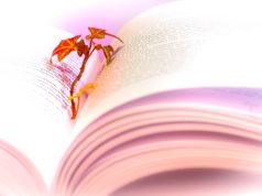 Anticariat ce cumpara carti in Bucuresti in cele mai bune conditii cumparatori de carti vechi