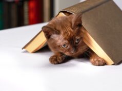 Cat de vechi pot fi cartile pe care le cauta cumparatorii de carti?