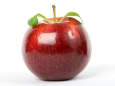 Iata alimentele de evitat pentru protejarea rinichilor protejare rinichi