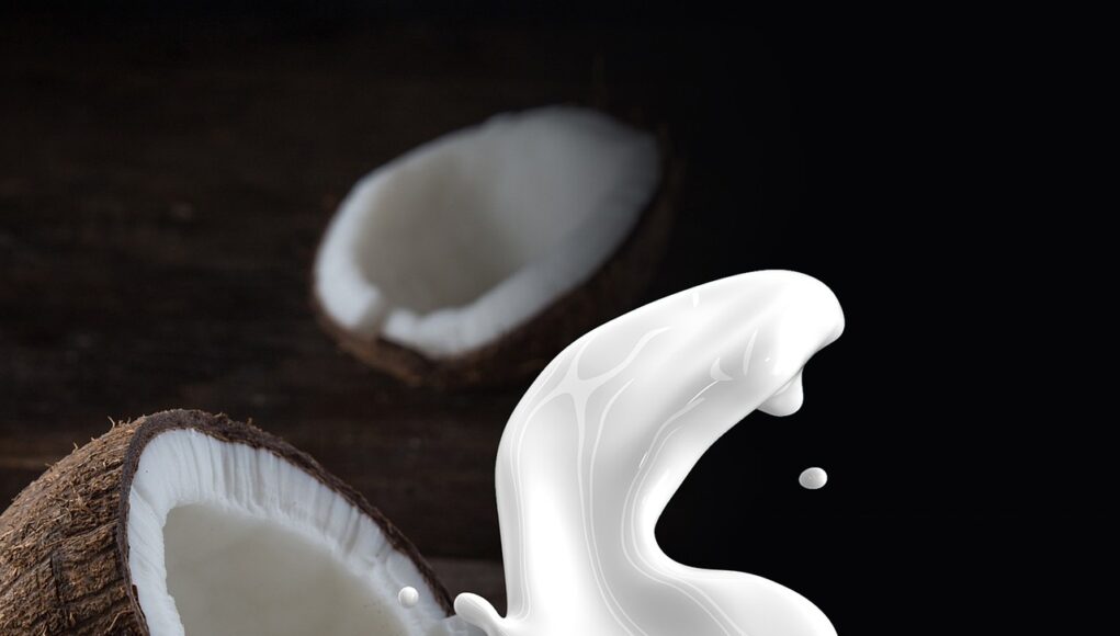 Cocos-nucifera Nuca de cocos