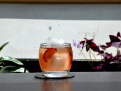 Băuturile aperitiv – arta de a pregăti masa și conversația Băuturile aperitiv