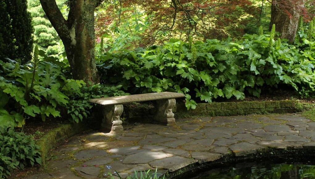 Pădurea din nori Monteverde