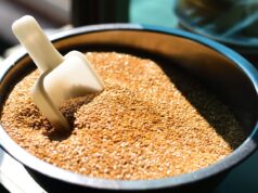 Făina din semințe de in: beneficii nutriționale și utilizări practice Făina din semințe de in