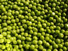 Mazărea verde, una dintre cele mai bune alegeri pentru mesele de sezon Mazărea verde