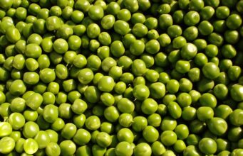 Mazărea verde, una dintre cele mai bune alegeri pentru mesele de sezon Mazărea verde